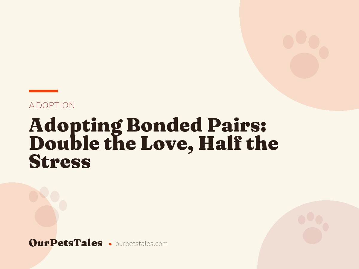 Adopting Bonded Pairs: Double the Love, Half the Stress