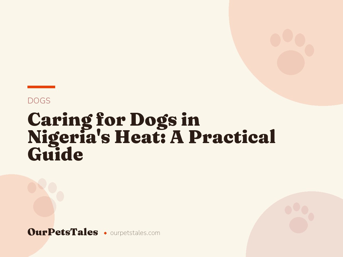 Caring for Dogs in Nigeria’s Heat: A Practical Guide