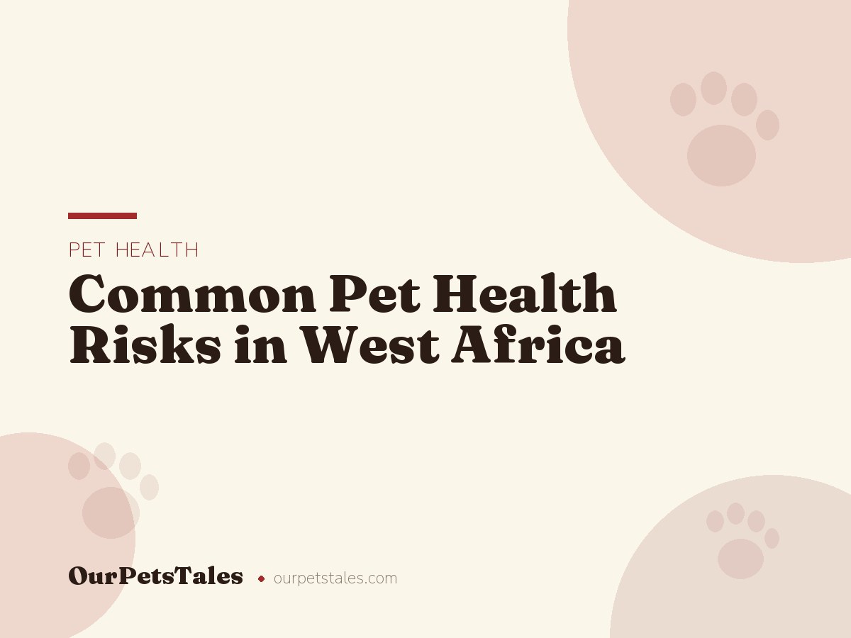 Common Pet Health Risks in West Africa: Ticks, Heat, and Parasites