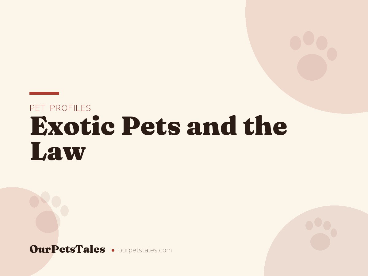 Exotic Pets and the Law: What to Check Before You Bring One Home