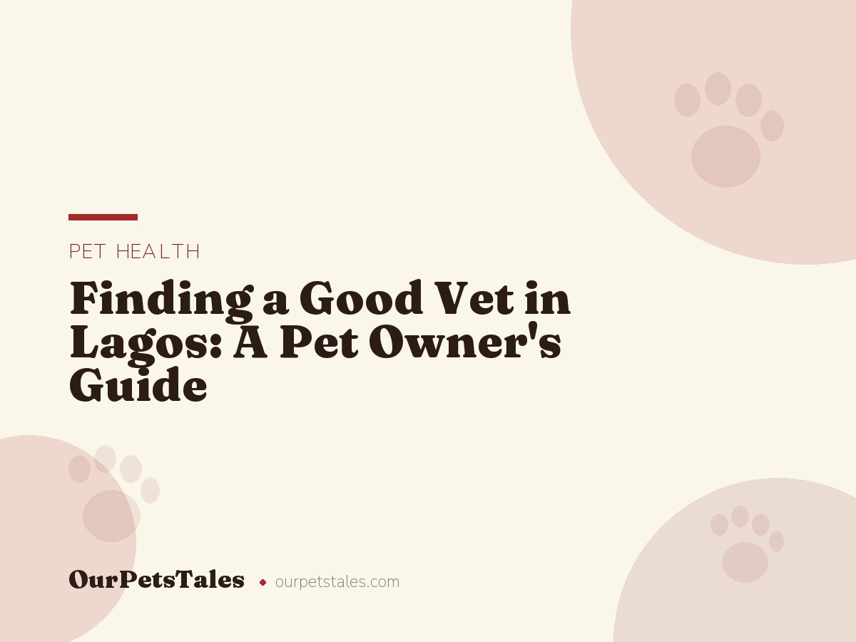 Finding a Good Vet in Lagos: A Pet Owner’s Guide