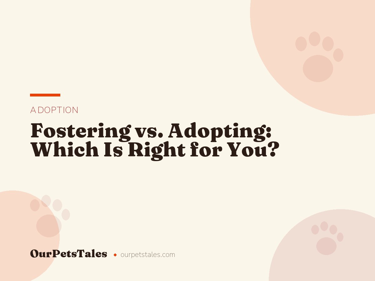 Fostering vs. Adopting: Which Is Right for You?