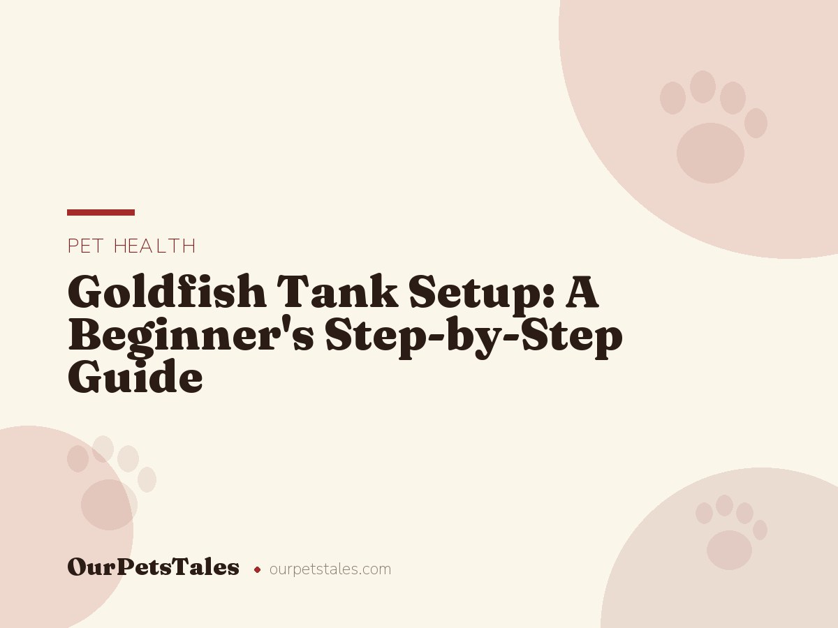 Goldfish Tank Setup: A Beginner’s Step-by-Step Guide