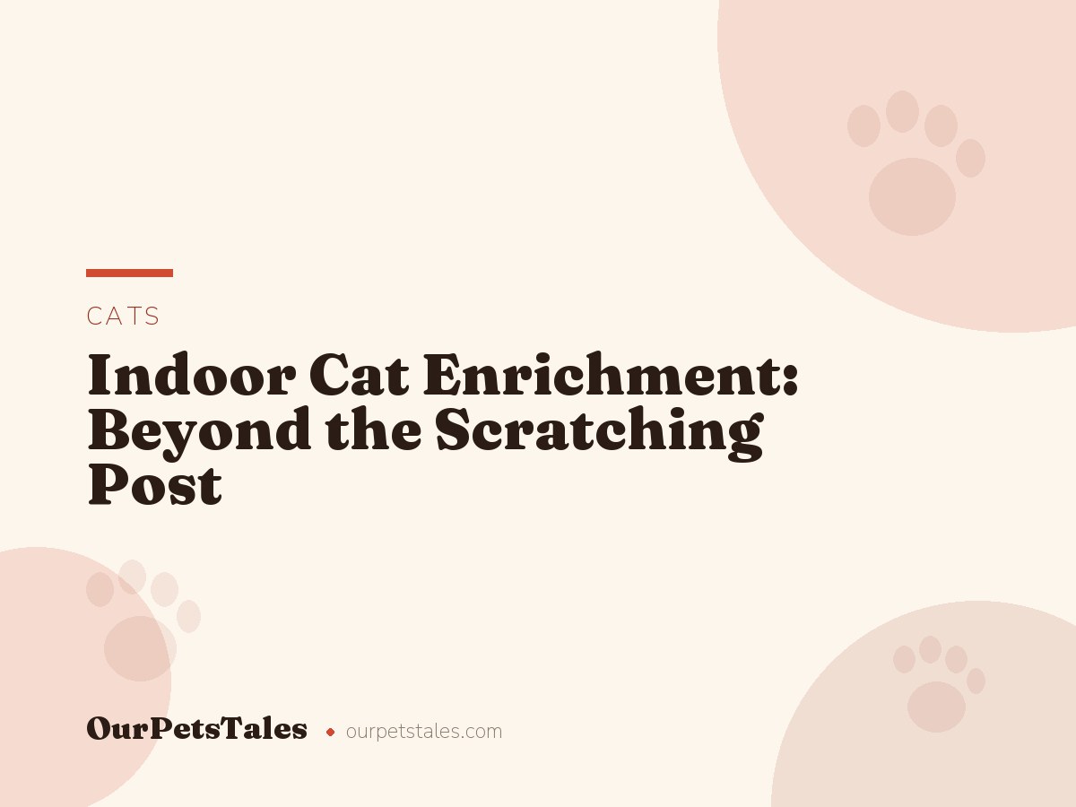 Indoor Cat Enrichment: Beyond the Scratching Post