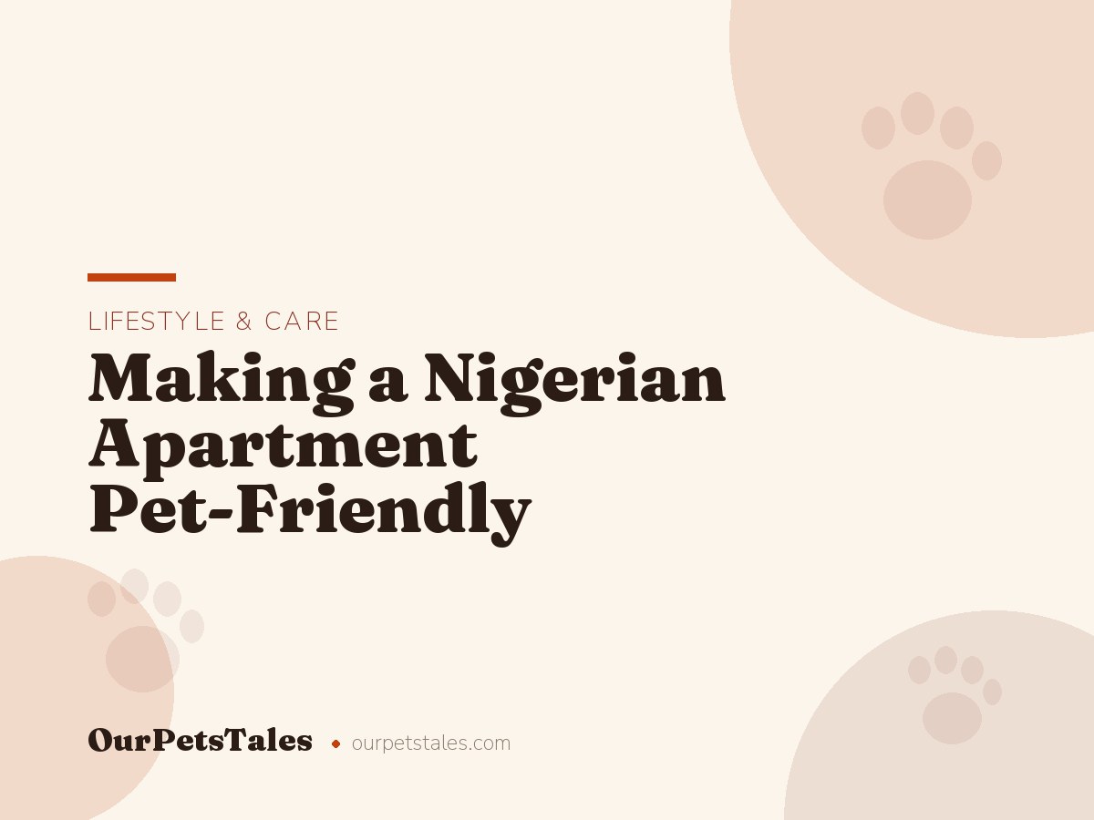 Making a Nigerian Apartment Pet-Friendly