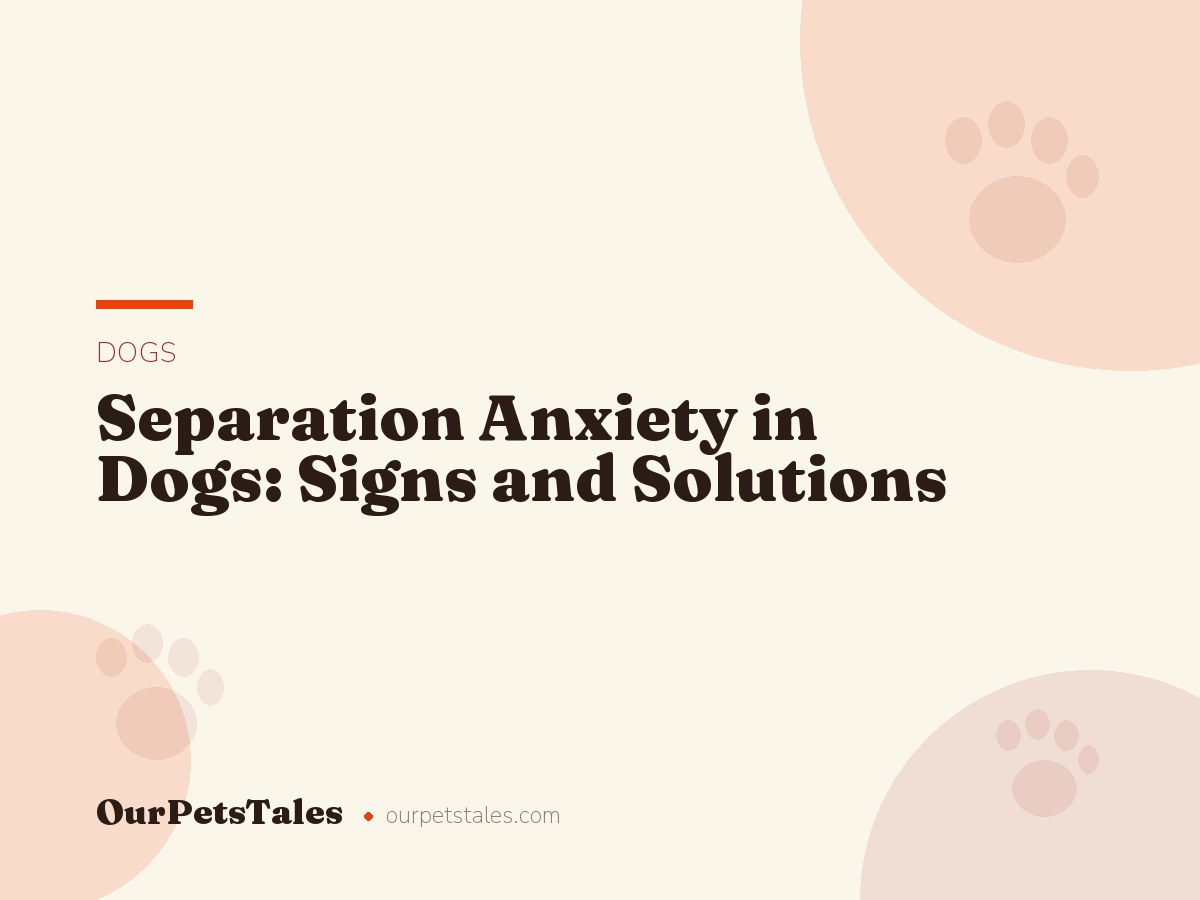 Separation Anxiety in Dogs: Signs and Solutions