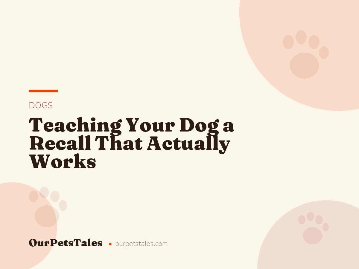 Teaching Your Dog a Recall That Actually Works
