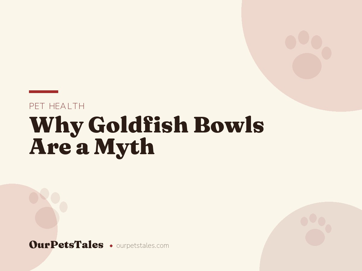 Why Goldfish Bowls Are a Myth: The Space Your Goldfish Actually Needs