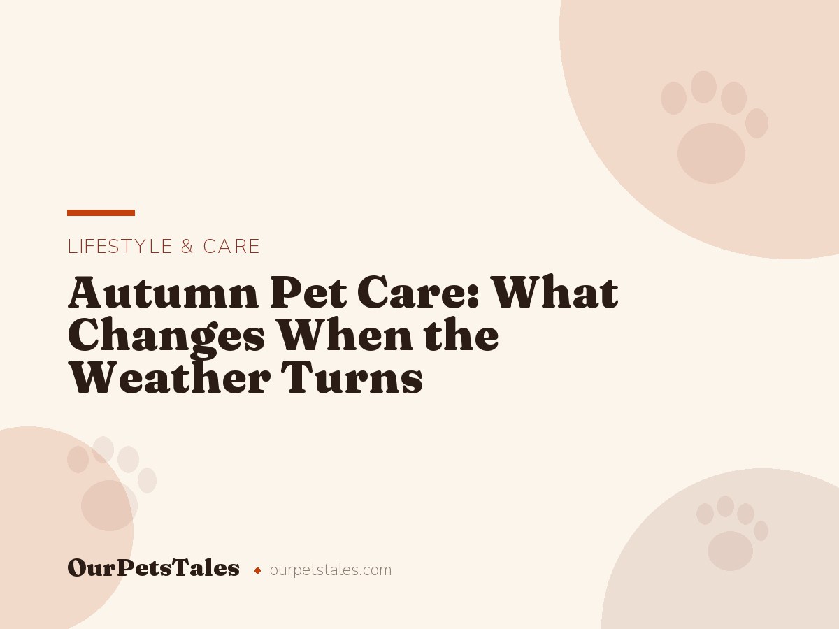 Autumn Pet Care: What Changes When the Weather Turns