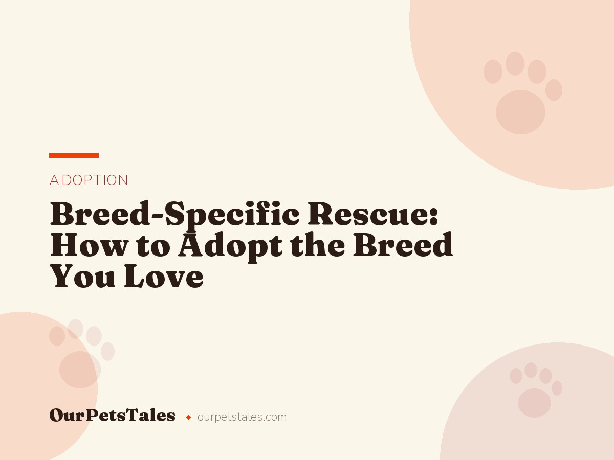 Breed-Specific Rescue: How to Adopt the Breed You Love