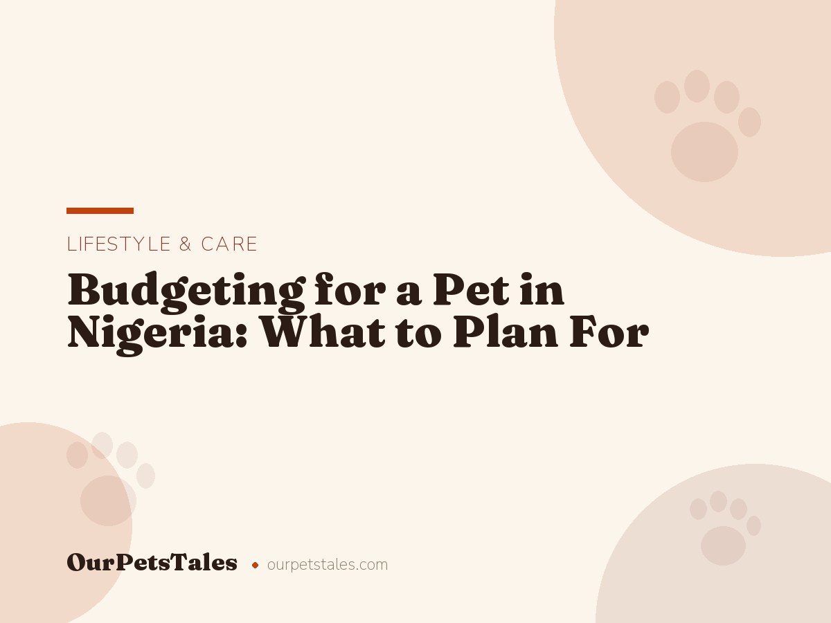 Budgeting for a Pet in Nigeria: What to Plan For