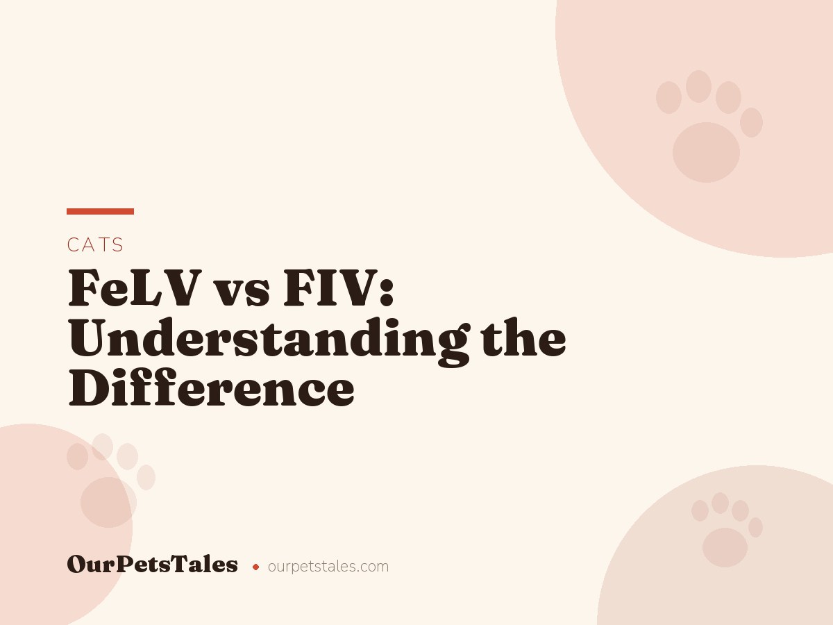 FeLV vs FIV: Understanding the Difference