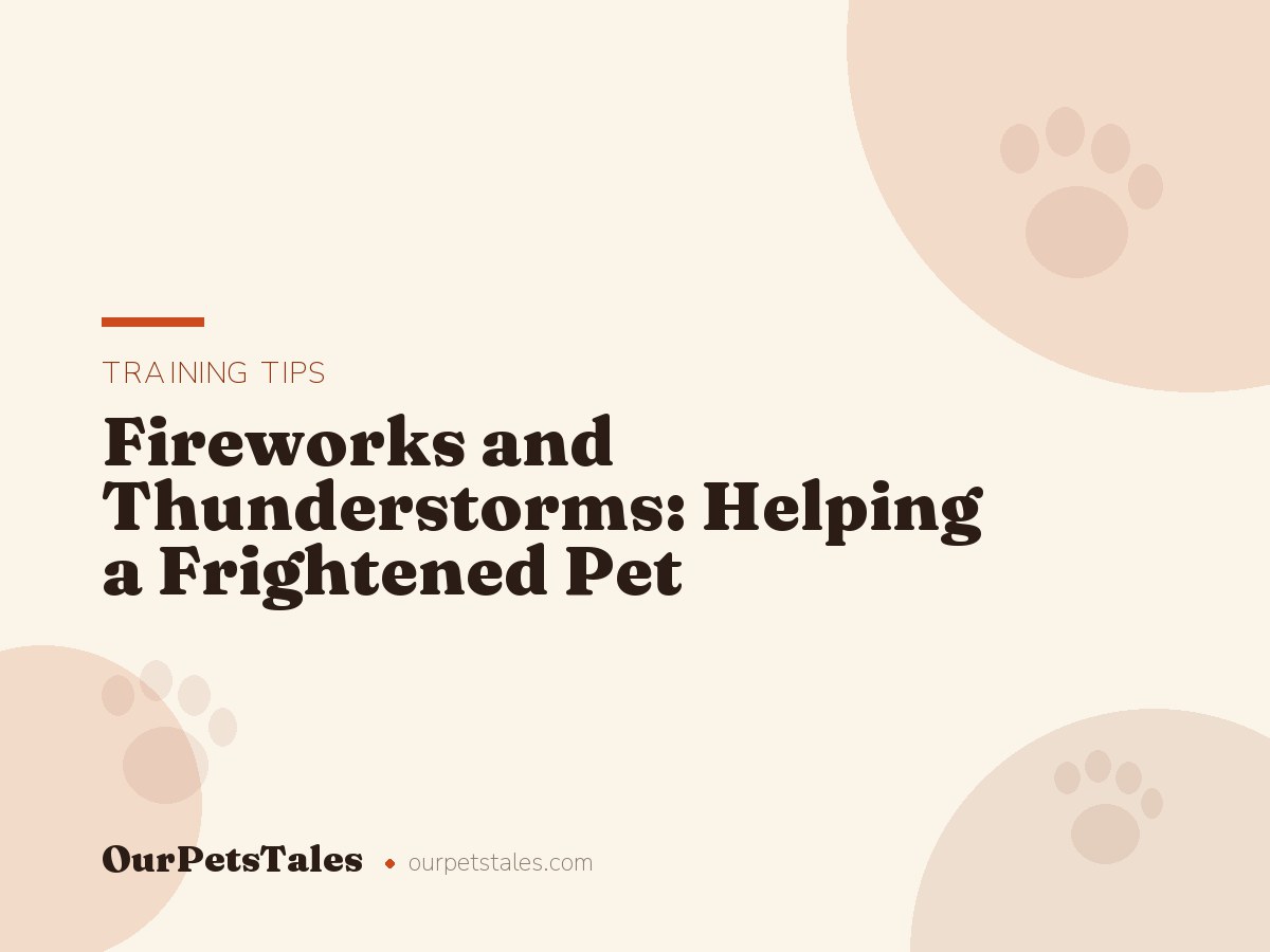 Fireworks and Thunderstorms: Helping a Frightened Pet