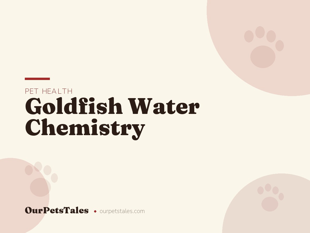 Goldfish Water Chemistry: Ammonia, Nitrite, and Nitrate Explained