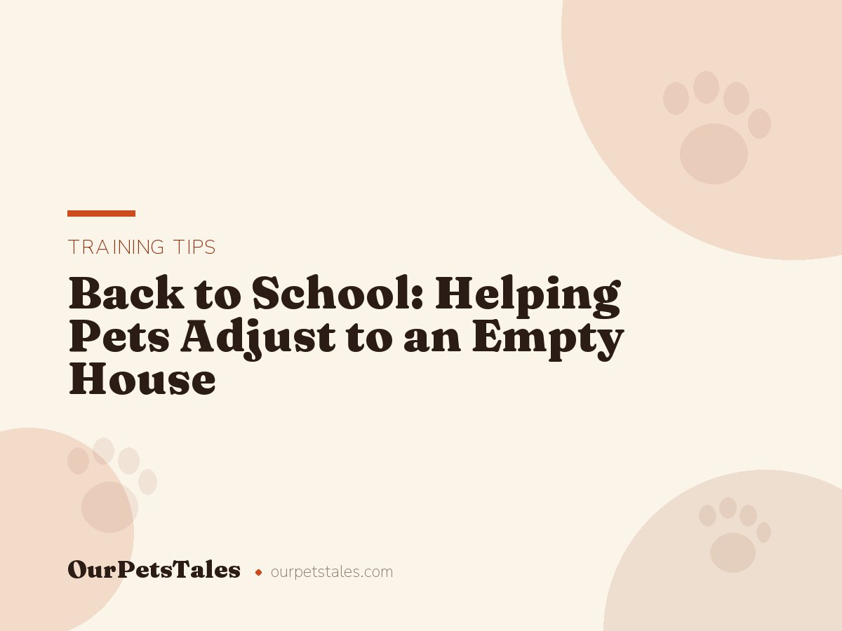Back to School: Helping Pets Adjust to an Empty House